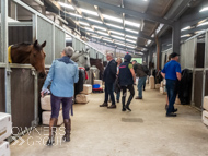 FOB071023-109 - Fergal O'Brien Stable Visit